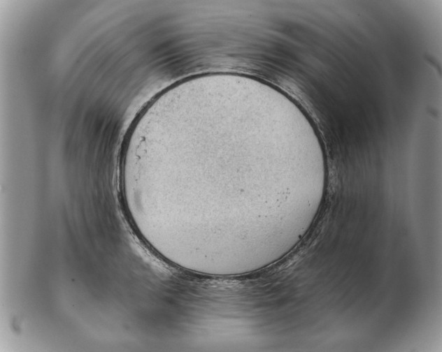 X0000102391136200808221819