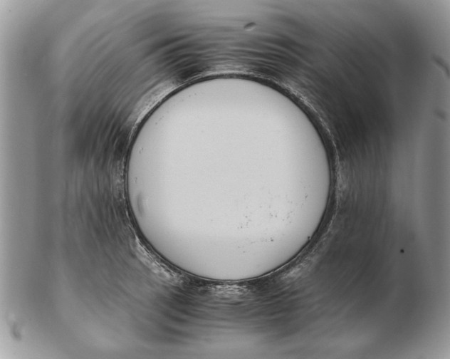 X0000102391137200808221819