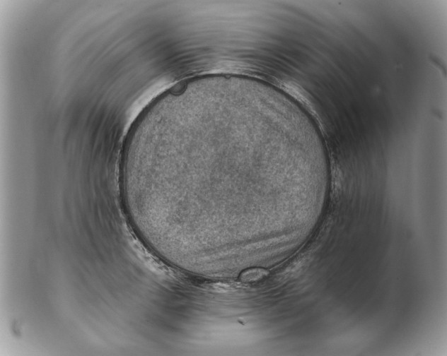 X0000102391138200808221819