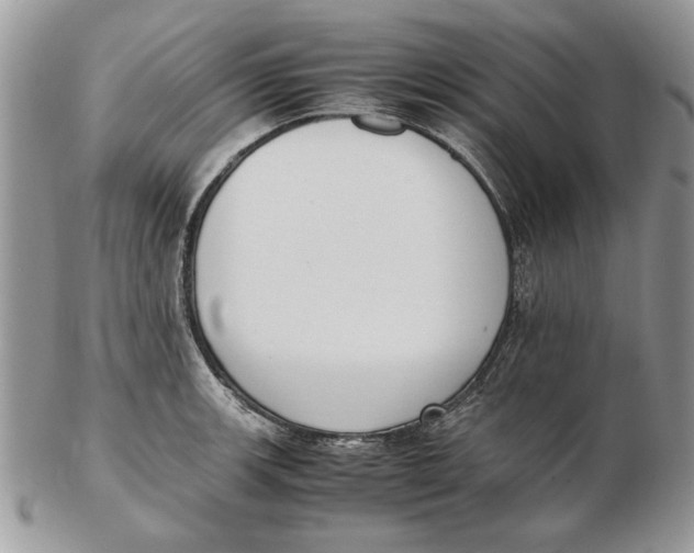 X0000102391139200808221819