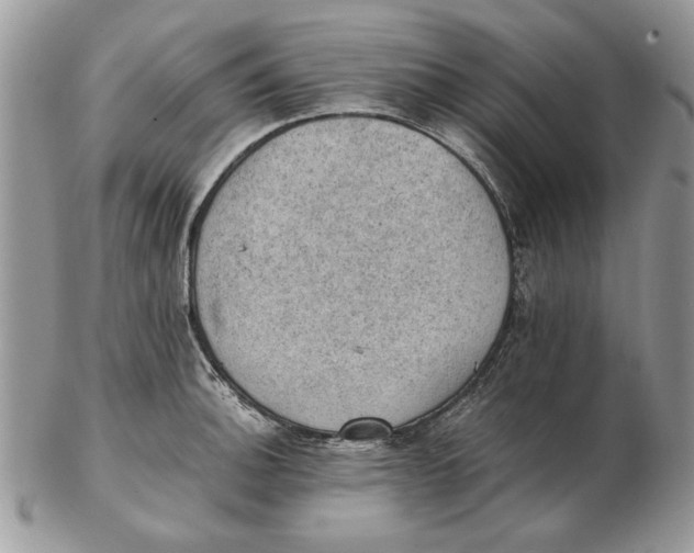 X0000102391140200808221819