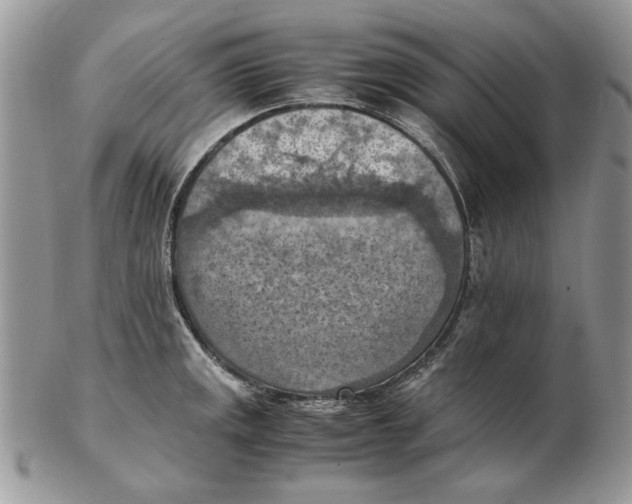 X0000102391141200808221819