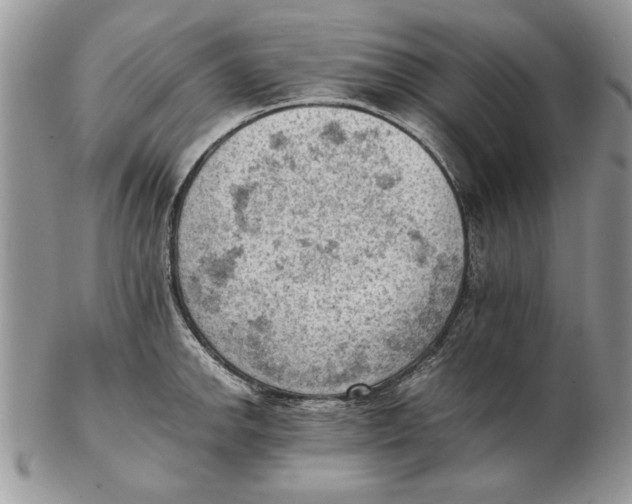 X0000102391142200808221819