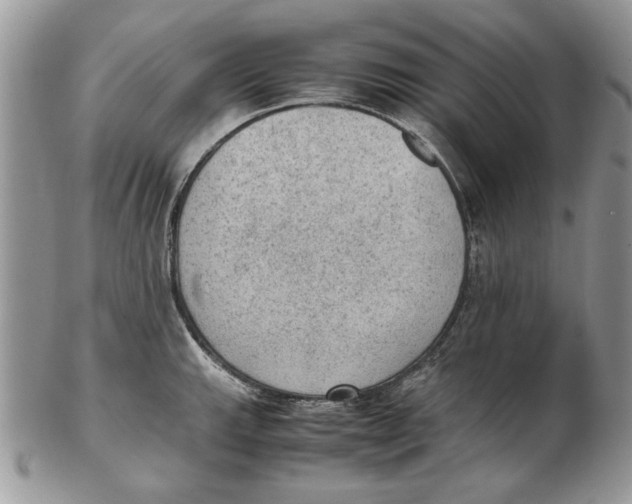 X0000102391143200808221819