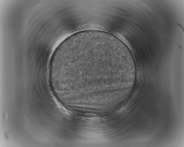 X0000102391144200808221819