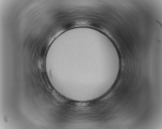 X0000102391145200808221819