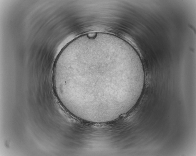 X0000102391146200808221819