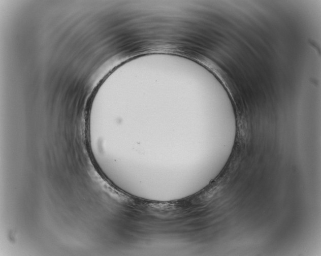 X0000102391147200808221819