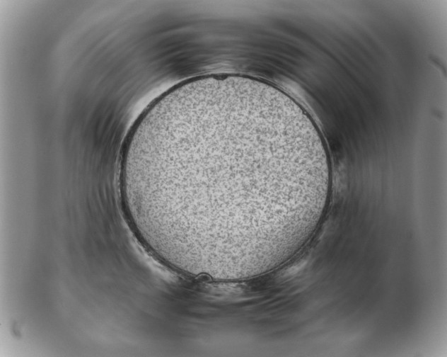 X0000102391149200808221819