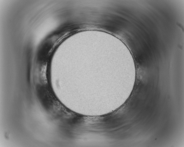 X0000102391150200808221819