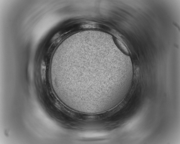 X0000102391151200808221819