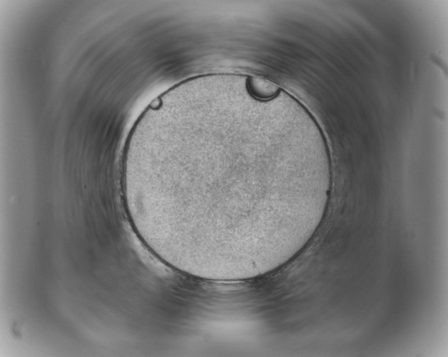 X0000102391152200808221819