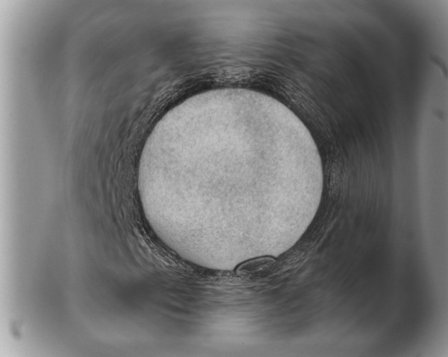 X0000102391153200808221818