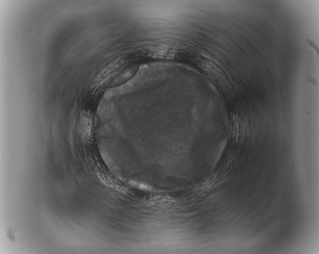 X0000102391154200808221818