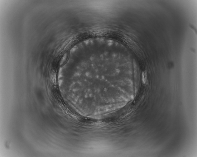 X0000102391155200808221818