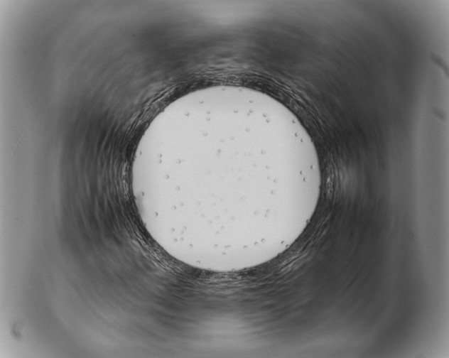 X0000102391156200808221818