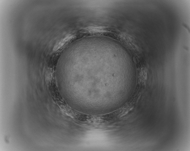 X0000102391157200808221818