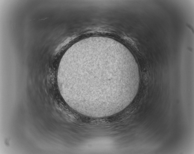 X0000102391159200808221818