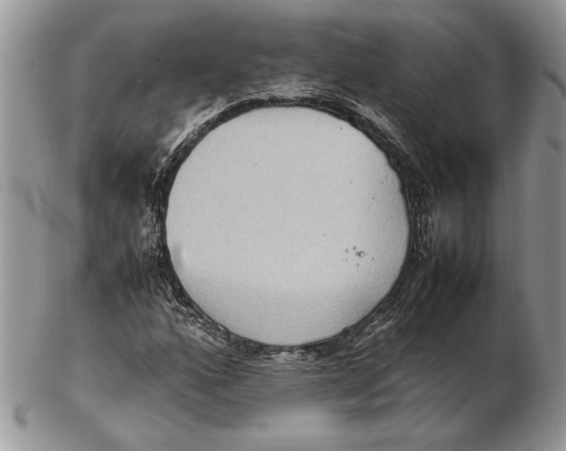 X0000102391160200808221818