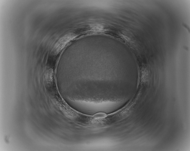 X0000102391161200808221818