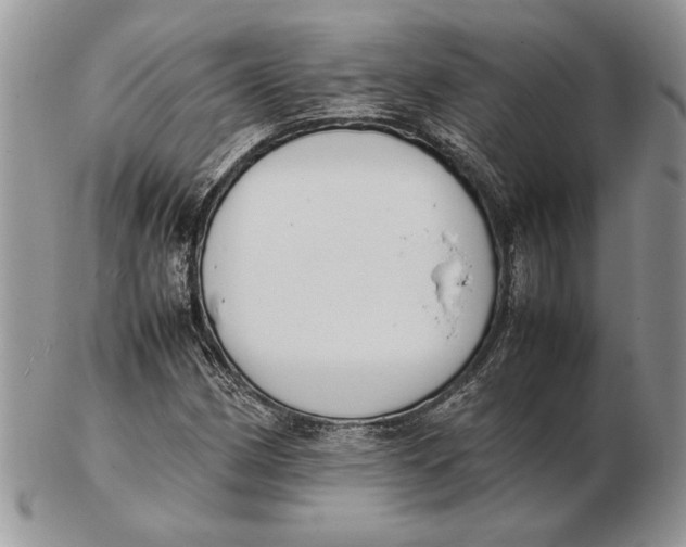 X0000102391162200808221818