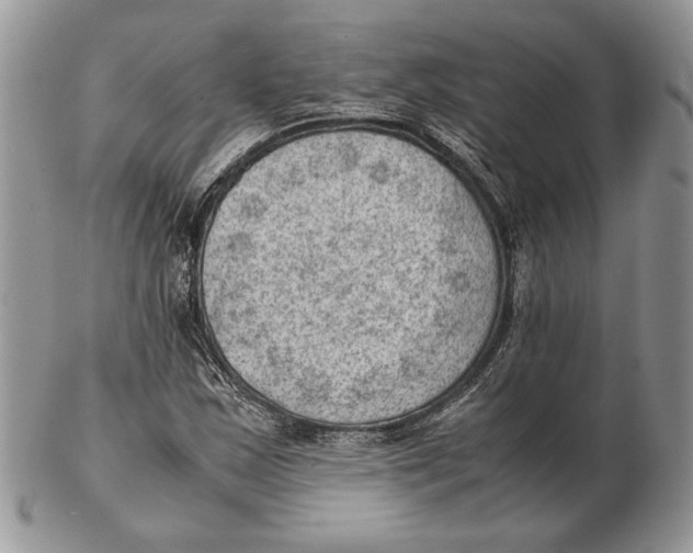 X0000102391163200808221818