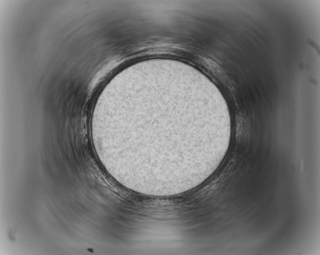 X0000102391164200808221818