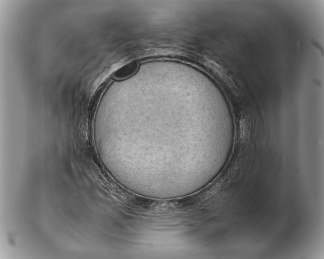 X0000102391165200808221818