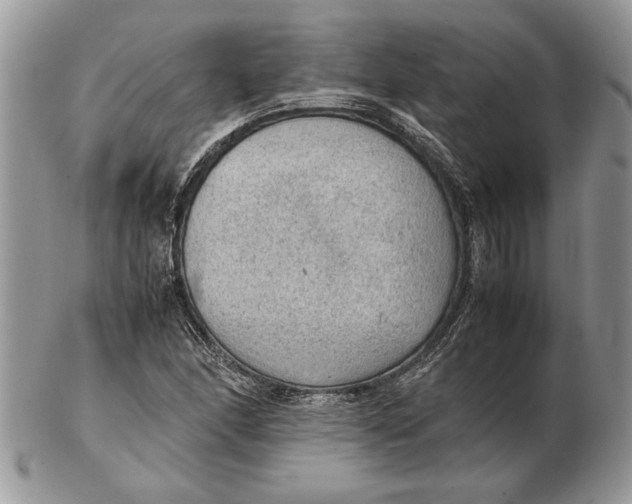 X0000102391166200808221818