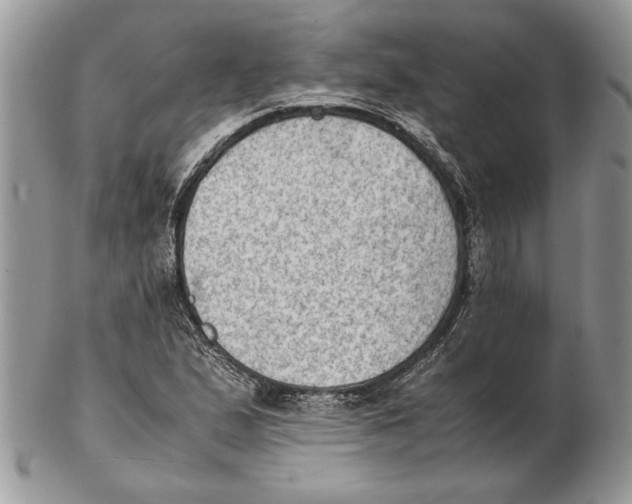 X0000102391167200808221818