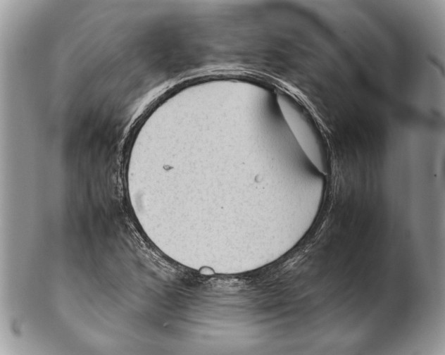 X0000102391168200808221818