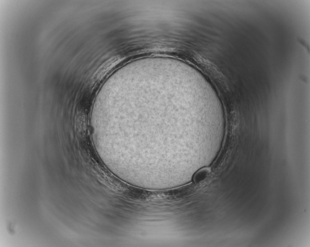 X0000102391169200808221818