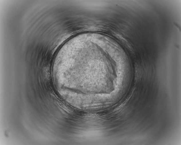 X0000102391170200808221818