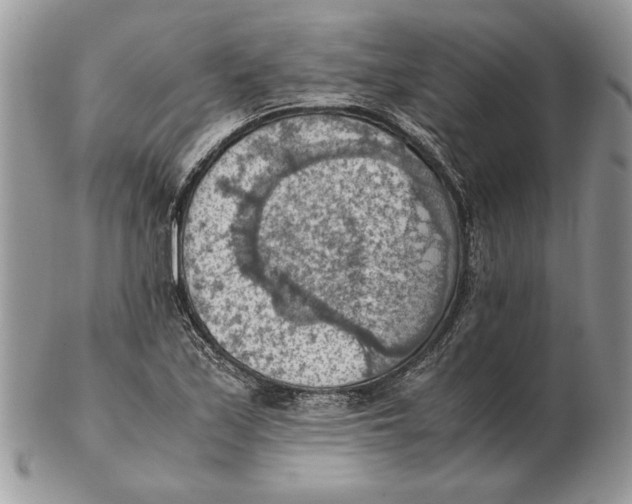 X0000102391171200808221818