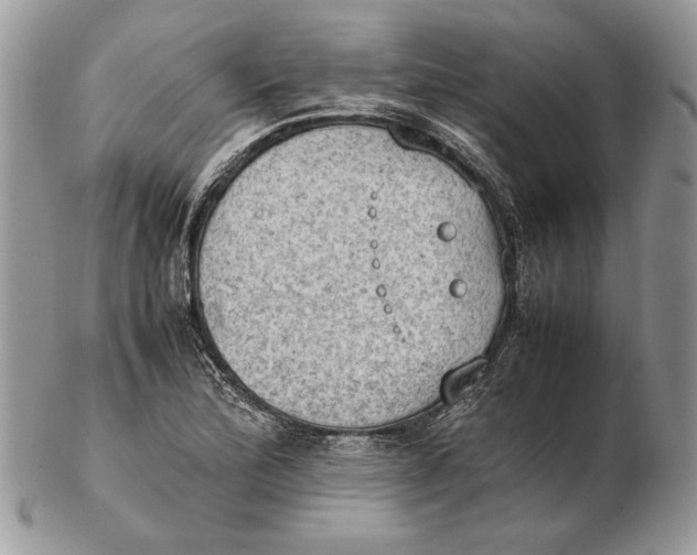 X0000102391172200808221818