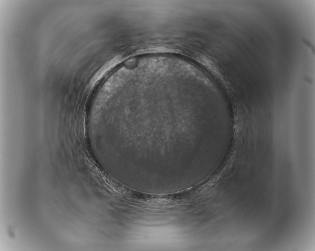 X0000102391173200808221818