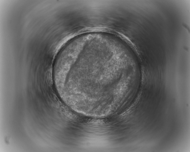 X0000102391174200808221818