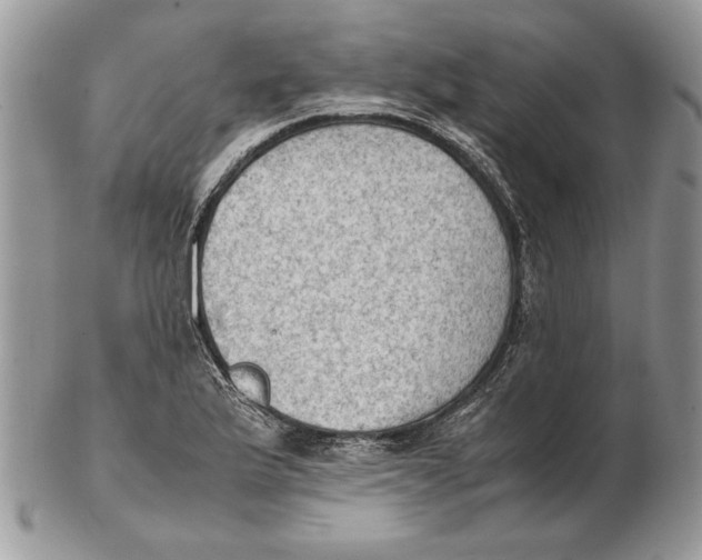 X0000102391175200808221818