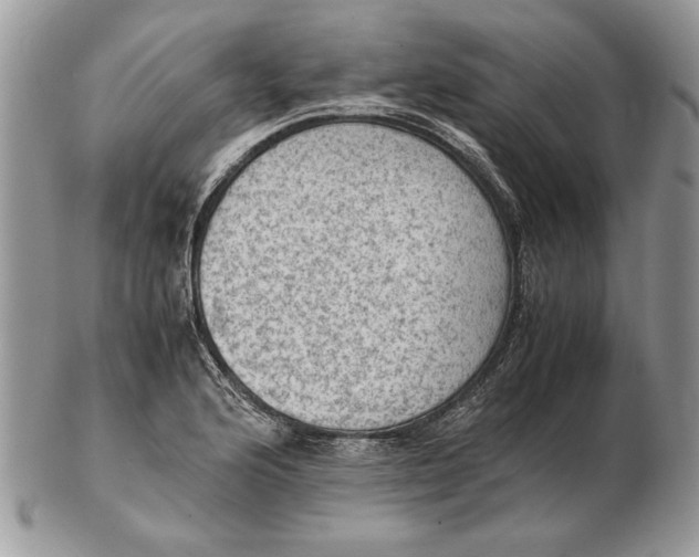 X0000102391176200808221818