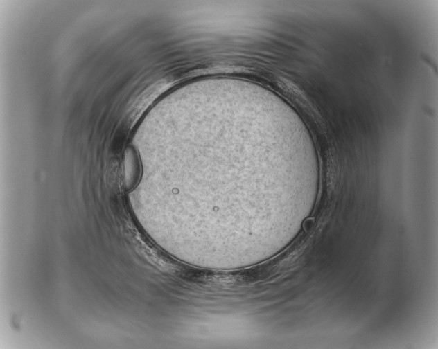 X0000102391177200808221818