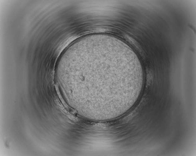 X0000102391178200808221818