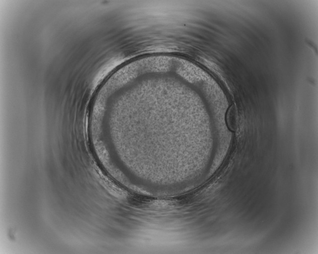 X0000102391179200808221818