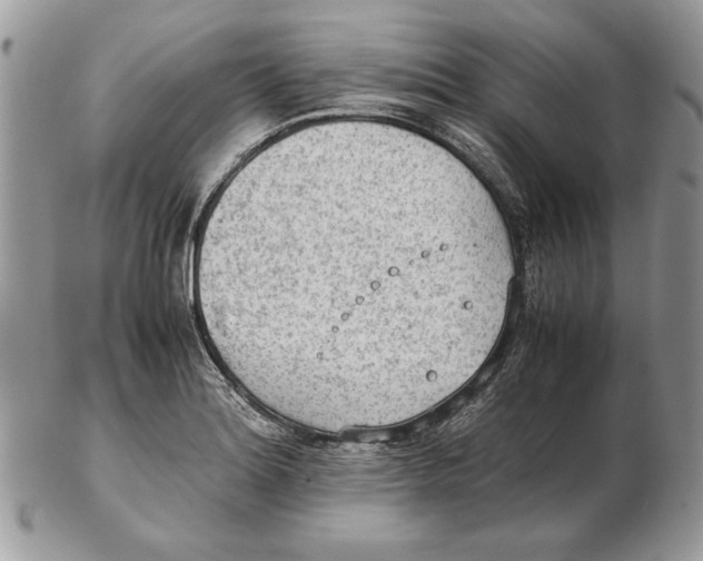 X0000102391180200808221818