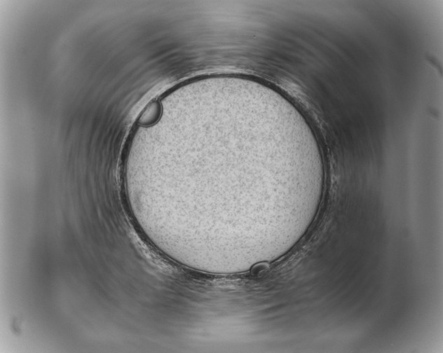 X0000102391181200808221818