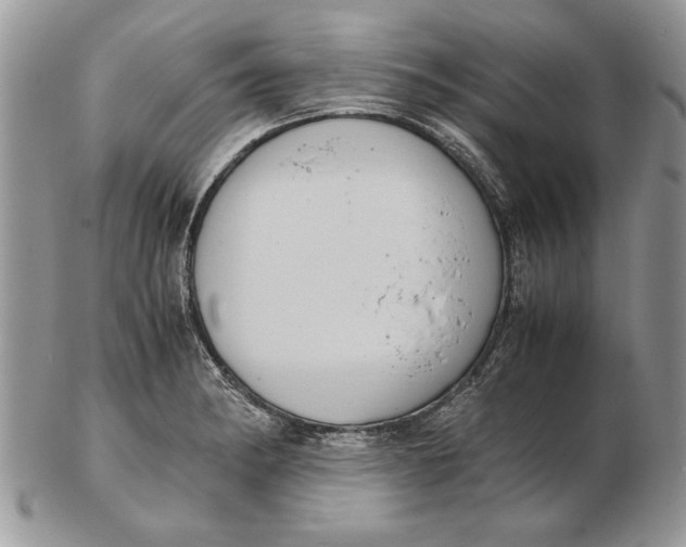 X0000102391182200808221818