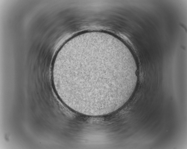 X0000102391183200808221818