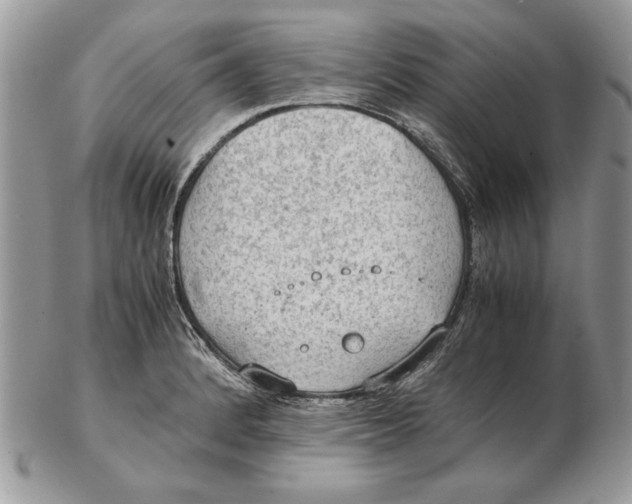 X0000102391184200808221818