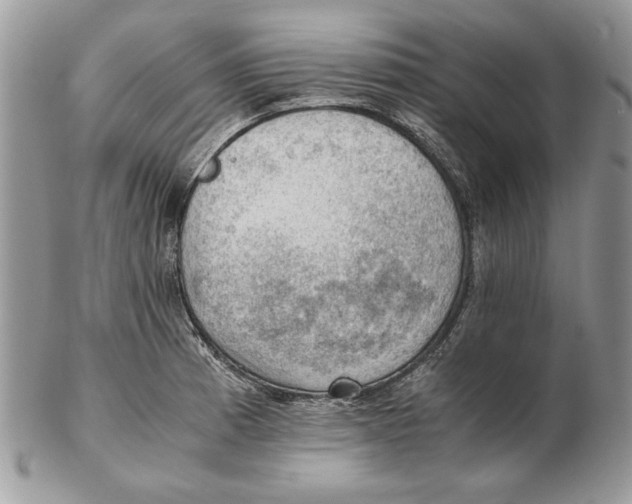 X0000102391185200808221818