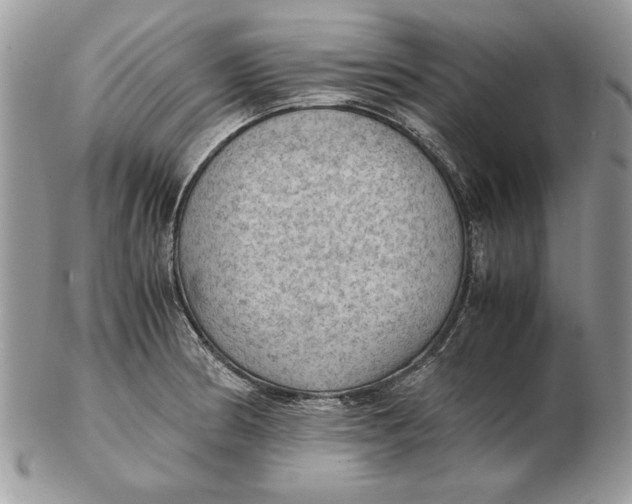 X0000102391186200808221818