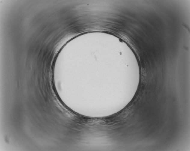 X0000102391187200808221818